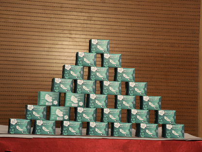 Sanitary Pads